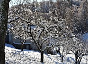 Panorami con le prime nevi da Miragolo S. Salvatore di Zogno il 3 dicenmbre 2020- FOTOGALLERY